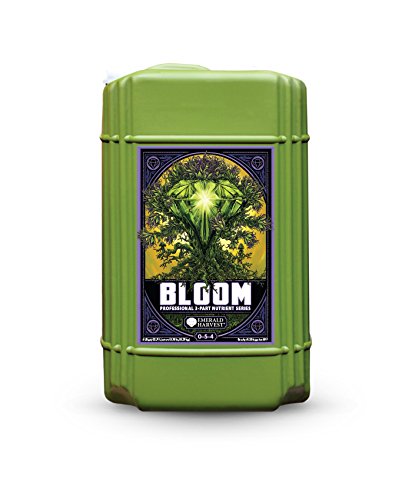 Bloom