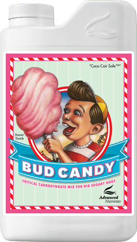 Bud Candy