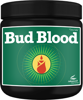 Bud Blood